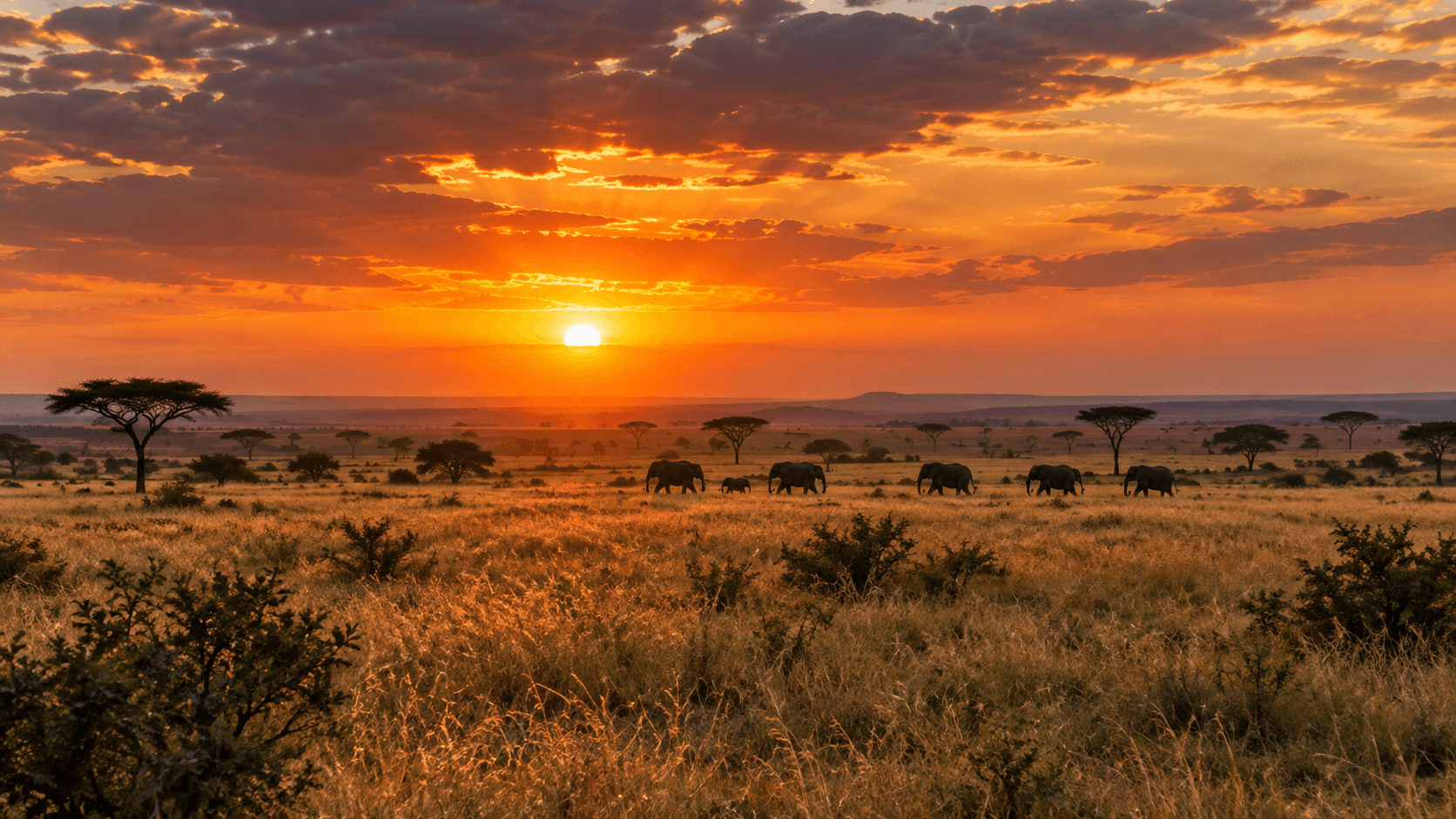Kenya